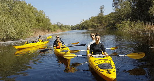 Great War Island Kayak Adventure