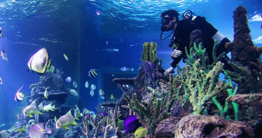 Public Aquarium & Tropicarium Belgrade