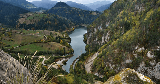 Tara National Park & Drina River House Tour Serbia