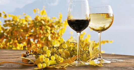 E-scooter Wine Tasting Tour