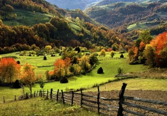 Zlatibor Tour Experience